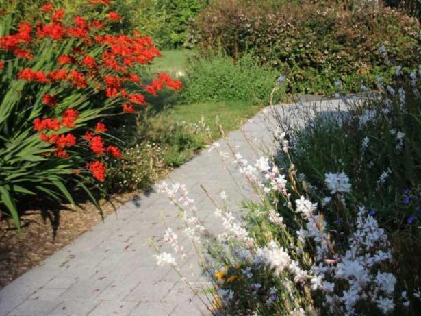 Au Pre Carre Otel Plumergat Dış mekan fotoğraf